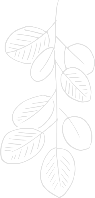 Fascia Servizi