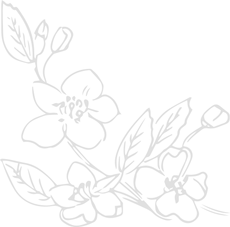Fascia Vivaio